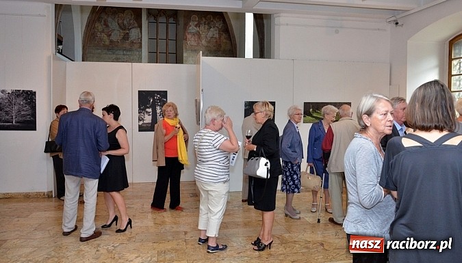 Zdjęcie w galerii na portalu naszraciborz.pl: Muzeum w Raciborzu. Wernisaż prac Joanny Przybyły wiadomości z regionu