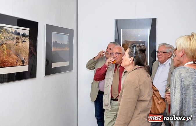 Zdjęcie w galerii na portalu naszraciborz.pl: Muzeum w Raciborzu. Wernisaż prac Joanny Przybyły wiadomości z regionu