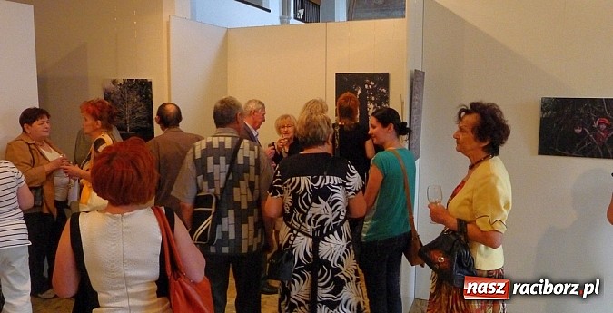Zdjęcie w galerii na portalu naszraciborz.pl: Muzeum w Raciborzu. Wernisaż prac Joanny Przybyły wiadomości z regionu