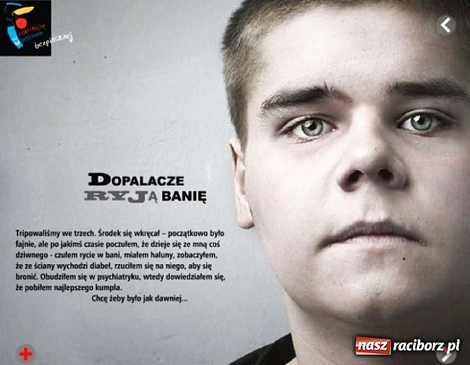 Zdjęcie w galerii na portalu naszraciborz.pl: Policja apeluje - stop dopalaczom! wiadomości z regionu