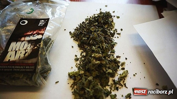 Zdjęcie w galerii na portalu naszraciborz.pl: Policja apeluje - stop dopalaczom! wiadomości z regionu