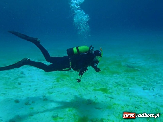 Zdjęcie w galerii na portalu naszraciborz.pl: Przygotuj się do przygody życia - kolejne kursy z Blue Diving na horyzoncie! wiadomości z regionu