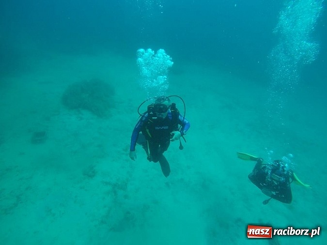 Zdjęcie w galerii na portalu naszraciborz.pl: Przygotuj się do przygody życia - kolejne kursy z Blue Diving na horyzoncie! wiadomości z regionu