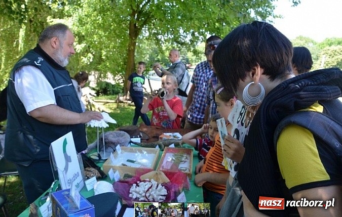 Zdjęcie w galerii na portalu naszraciborz.pl: Tych rzeczy nie wkładaj do walizki podczas powrotu z egzotycznych wakacji wiadomości z regionu