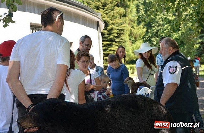 Zdjęcie w galerii na portalu naszraciborz.pl: Tych rzeczy nie wkładaj do walizki podczas powrotu z egzotycznych wakacji wiadomości z regionu