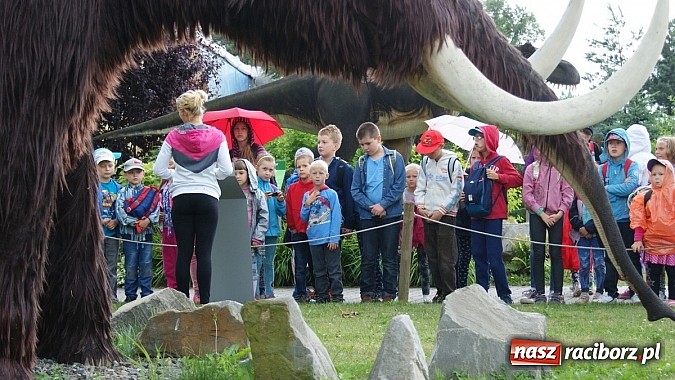 Zdjęcie w galerii na portalu naszraciborz.pl: Lato z Biblioteką. Wizyta w Dream Park w Ochabach wiadomości z regionu
