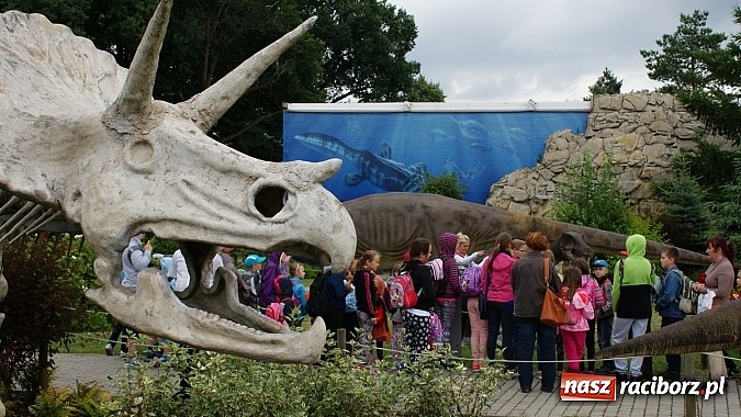Zdjęcie w galerii na portalu naszraciborz.pl: Lato z Biblioteką. Wizyta w Dream Park w Ochabach wiadomości z regionu