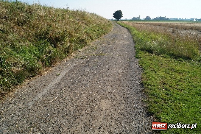 Zdjęcie w galerii na portalu naszraciborz.pl: W Nędzy wyremontują ul. Kopernika, w Ciechowicach - dojazd do pól wiadomości z regionu