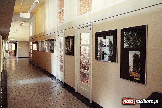 Zdjęcie w galerii na portalu naszraciborz.pl: Ściany Urzędu Miasta dla młodych artystów – propozycja Leszka Szczasnego wiadomości z regionu