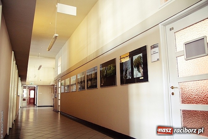 Zdjęcie w galerii na portalu naszraciborz.pl: Ściany Urzędu Miasta dla młodych artystów – propozycja Leszka Szczasnego wiadomości z regionu