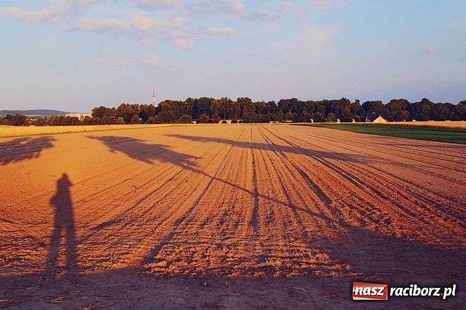 Zdjęcie w galerii na portalu naszraciborz.pl: Zobacz, jak pięknie zachodziło wczoraj słońce nad ocickimi polami wiadomości z regionu