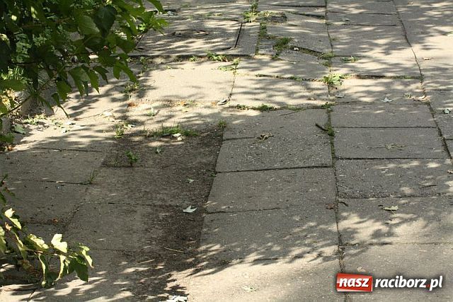 Zdjęcie w galerii na portalu naszraciborz.pl: Katowicka - siąść i płakać wiadomości z regionu