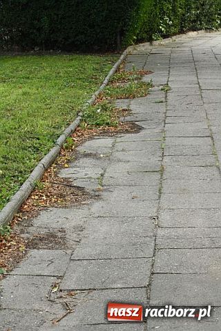 Zdjęcie w galerii na portalu naszraciborz.pl: Katowicka - siąść i płakać wiadomości z regionu