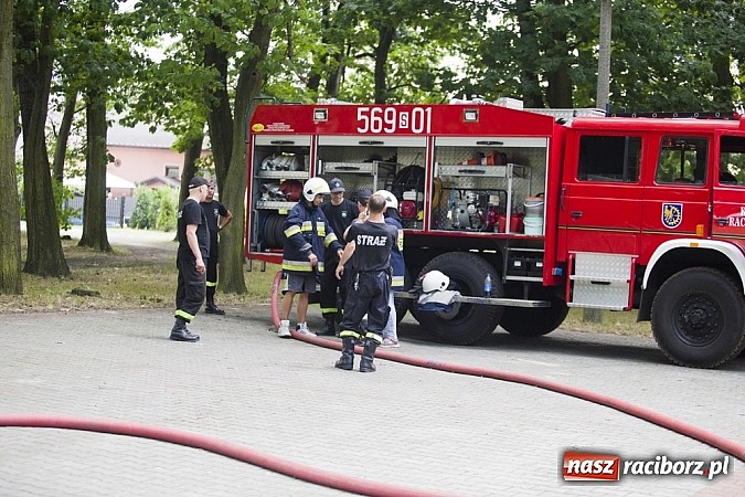 Zdjęcie w galerii na portalu naszraciborz.pl: Festyn Odpustowy w Kuźni Raciborskiej wiadomości z regionu