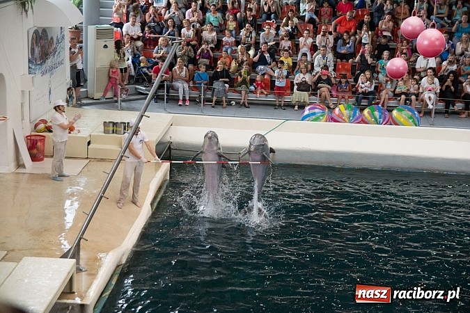 Zdjęcie w galerii na portalu naszraciborz.pl: Raciborzanie wrócili ze Złotych Piasków  wiadomości z regionu