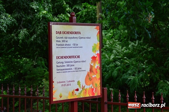 Zdjęcie w galerii na portalu naszraciborz.pl: Uroczystość 15-lecia Fundacji Eichendorffa w Łubowicach wiadomości z regionu