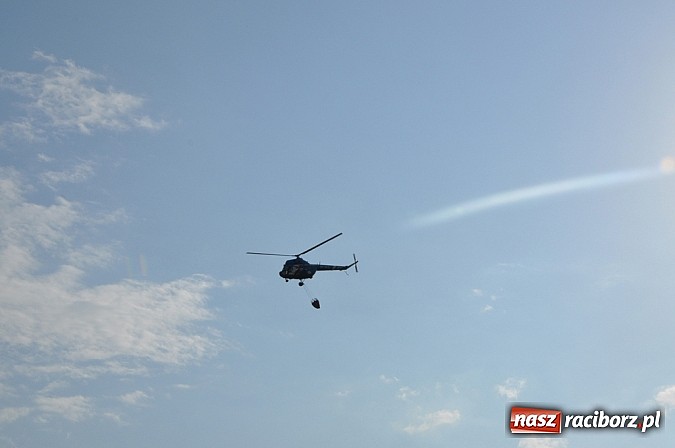 Zdjęcie w galerii na portalu naszraciborz.pl: Mimo pogody w kratkę kilkadziesiąt tysięcy fanów na zlocie Master Truck 2015 wiadomości z regionu