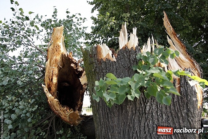 Zdjęcie w galerii na portalu naszraciborz.pl: Skutki wczorajszej nawałnicy w Modzurowie - mieszkańcy nadal nie mają prądu  wiadomości z regionu