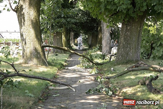 Zdjęcie w galerii na portalu naszraciborz.pl: Skutki wczorajszej nawałnicy w Modzurowie - mieszkańcy nadal nie mają prądu  wiadomości z regionu