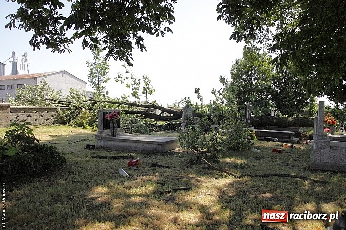 Zdjęcie w galerii na portalu naszraciborz.pl: Skutki wczorajszej nawałnicy w Modzurowie - mieszkańcy nadal nie mają prądu  wiadomości z regionu