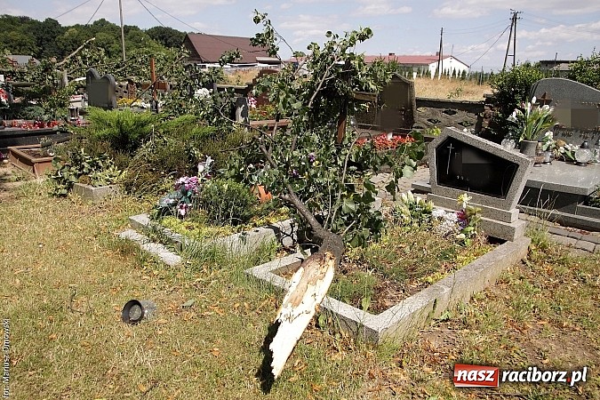 Zdjęcie w galerii na portalu naszraciborz.pl: Skutki wczorajszej nawałnicy w Modzurowie - mieszkańcy nadal nie mają prądu  wiadomości z regionu