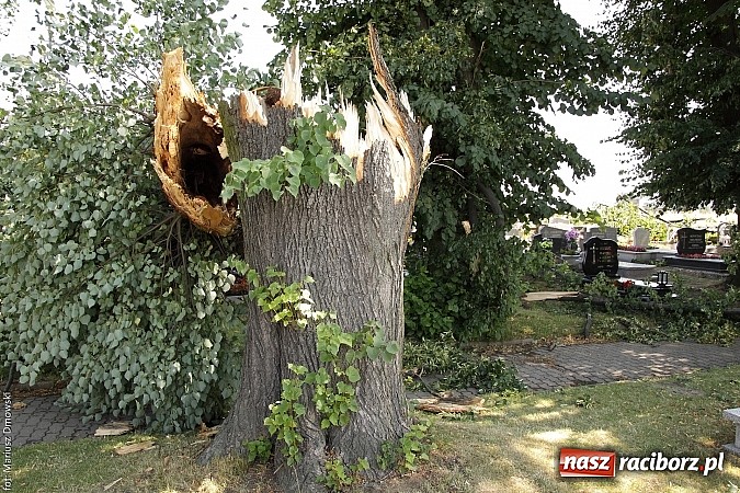 Zdjęcie w galerii na portalu naszraciborz.pl: Skutki wczorajszej nawałnicy w Modzurowie - mieszkańcy nadal nie mają prądu  wiadomości z regionu