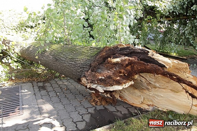Zdjęcie w galerii na portalu naszraciborz.pl: Skutki wczorajszej nawałnicy w Modzurowie - mieszkańcy nadal nie mają prądu  wiadomości z regionu