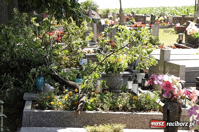 Zdjęcie w galerii na portalu naszraciborz.pl: Skutki wczorajszej nawałnicy w Modzurowie - mieszkańcy nadal nie mają prądu  wiadomości z regionu
