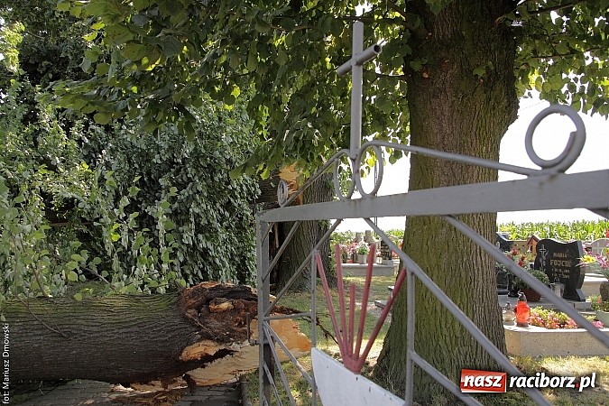 Zdjęcie w galerii na portalu naszraciborz.pl: Skutki wczorajszej nawałnicy w Modzurowie - mieszkańcy nadal nie mają prądu  wiadomości z regionu