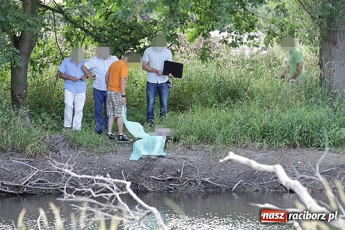 Zdjęcie w galerii na portalu naszraciborz.pl: Ze zbiornika w Studziennej wyciągnięto zwłoki starszego mężczyzny wiadomości z regionu