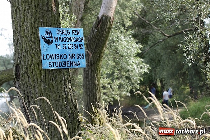 Zdjęcie w galerii na portalu naszraciborz.pl: Ze zbiornika w Studziennej wyciągnięto zwłoki starszego mężczyzny wiadomości z regionu