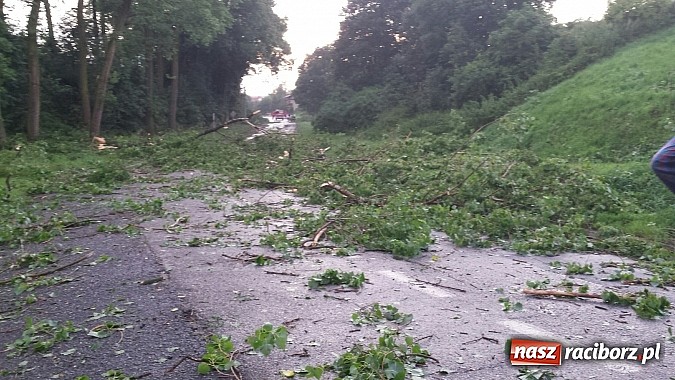 Zdjęcie w galerii na portalu naszraciborz.pl: Grzegorzowice - krajobraz po nawałnicy wiadomości z regionu