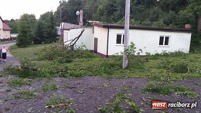 Zdjęcie w galerii na portalu naszraciborz.pl: Grzegorzowice - krajobraz po nawałnicy wiadomości z regionu