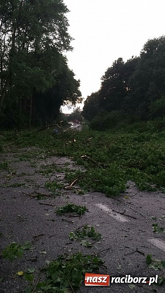 Zdjęcie w galerii na portalu naszraciborz.pl: Grzegorzowice - krajobraz po nawałnicy wiadomości z regionu