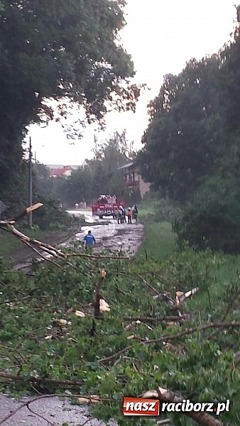 Zdjęcie w galerii na portalu naszraciborz.pl: Grzegorzowice - krajobraz po nawałnicy wiadomości z regionu