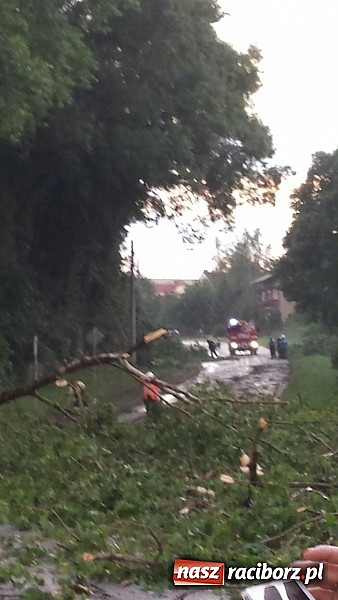 Zdjęcie w galerii na portalu naszraciborz.pl: Grzegorzowice - krajobraz po nawałnicy wiadomości z regionu