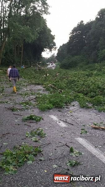 Zdjęcie w galerii na portalu naszraciborz.pl: Grzegorzowice - krajobraz po nawałnicy wiadomości z regionu
