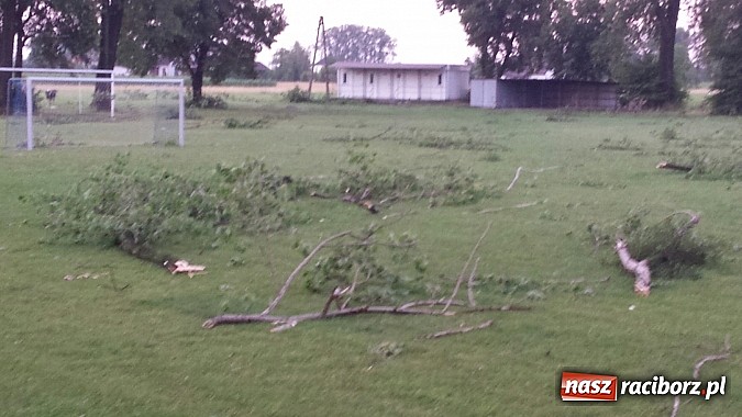 Zdjęcie w galerii na portalu naszraciborz.pl: Grzegorzowice - krajobraz po nawałnicy wiadomości z regionu