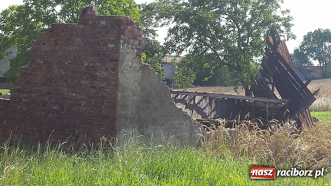 Zdjęcie w galerii na portalu naszraciborz.pl: Grzegorzowice - krajobraz po nawałnicy wiadomości z regionu