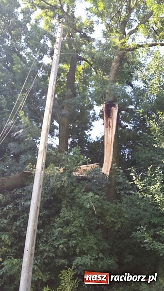 Zdjęcie w galerii na portalu naszraciborz.pl: Grzegorzowice - krajobraz po nawałnicy wiadomości z regionu