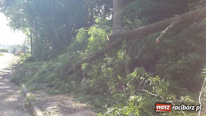 Zdjęcie w galerii na portalu naszraciborz.pl: Grzegorzowice - krajobraz po nawałnicy wiadomości z regionu