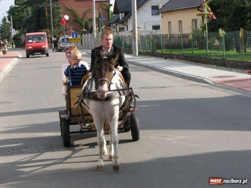 Zdjęcie w galerii na portalu naszraciborz.pl: Dziękują, choć plony nie najlepsze były... wiadomości z regionu