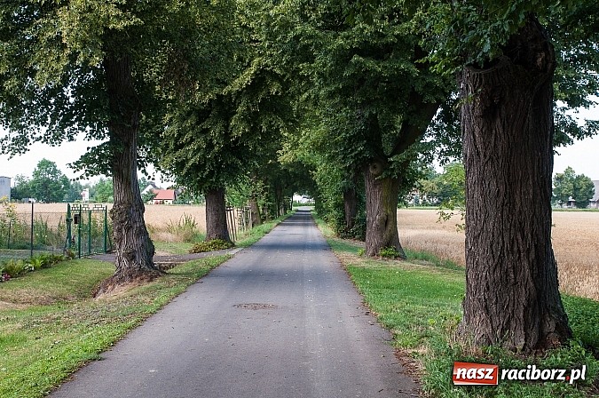 Zdjęcie w galerii na portalu naszraciborz.pl: Kiedy powstanie parking pod Łężczokiem? Gdy nam kładkę zrobią nad potokiem! Radni proponują, prezydent - próbuje. wiadomości z regionu