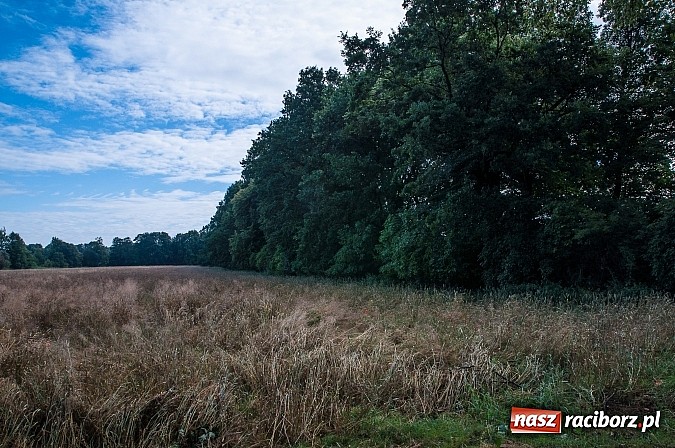 Zdjęcie w galerii na portalu naszraciborz.pl: Kiedy powstanie parking pod Łężczokiem? Gdy nam kładkę zrobią nad potokiem! Radni proponują, prezydent - próbuje. wiadomości z regionu