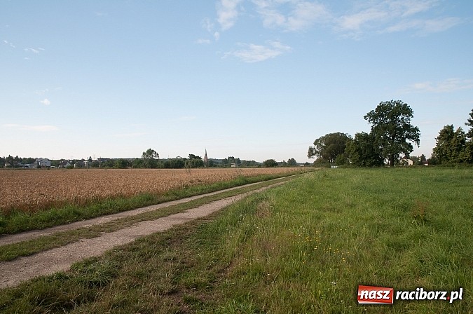 Zdjęcie w galerii na portalu naszraciborz.pl: Kiedy powstanie parking pod Łężczokiem? Gdy nam kładkę zrobią nad potokiem! Radni proponują, prezydent - próbuje. wiadomości z regionu
