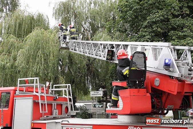 Zdjęcie w galerii na portalu naszraciborz.pl: Skutki niedawnej nawałnicy wciąż obecne - kolejny konar niebezpiecznie zwisający nad chodnikiem wiadomości z regionu