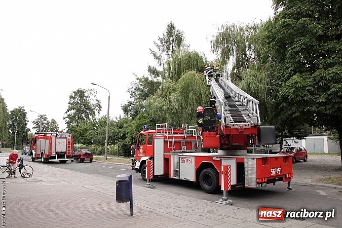 Zdjęcie w galerii na portalu naszraciborz.pl: Skutki niedawnej nawałnicy wciąż obecne - kolejny konar niebezpiecznie zwisający nad chodnikiem wiadomości z regionu