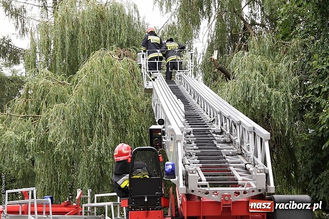 Zdjęcie w galerii na portalu naszraciborz.pl: Skutki niedawnej nawałnicy wciąż obecne - kolejny konar niebezpiecznie zwisający nad chodnikiem wiadomości z regionu