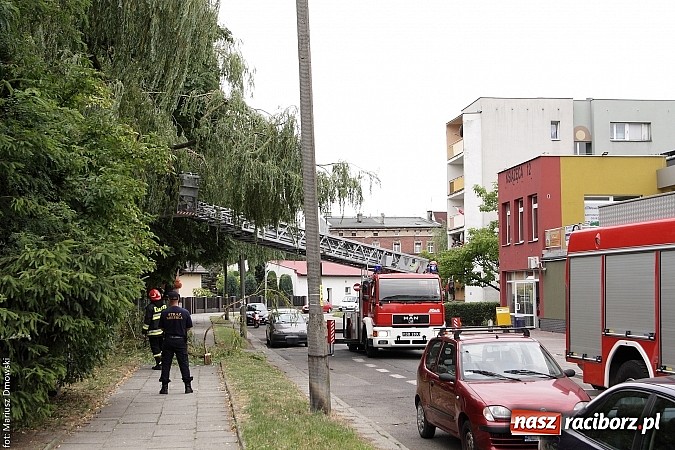 Zdjęcie w galerii na portalu naszraciborz.pl: Skutki niedawnej nawałnicy wciąż obecne - kolejny konar niebezpiecznie zwisający nad chodnikiem wiadomości z regionu