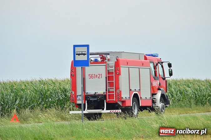 Zdjęcie w galerii na portalu naszraciborz.pl: Wypadek na drodze Racibórz- Lekartów wiadomości z regionu